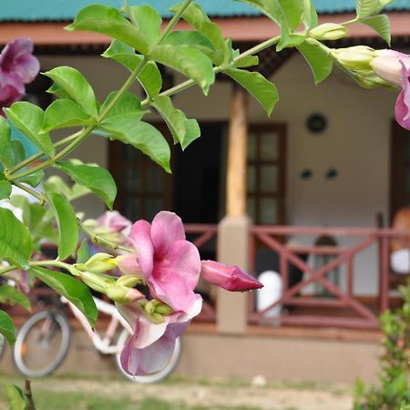 Paodise Guesthouse Диг Екстериор снимка